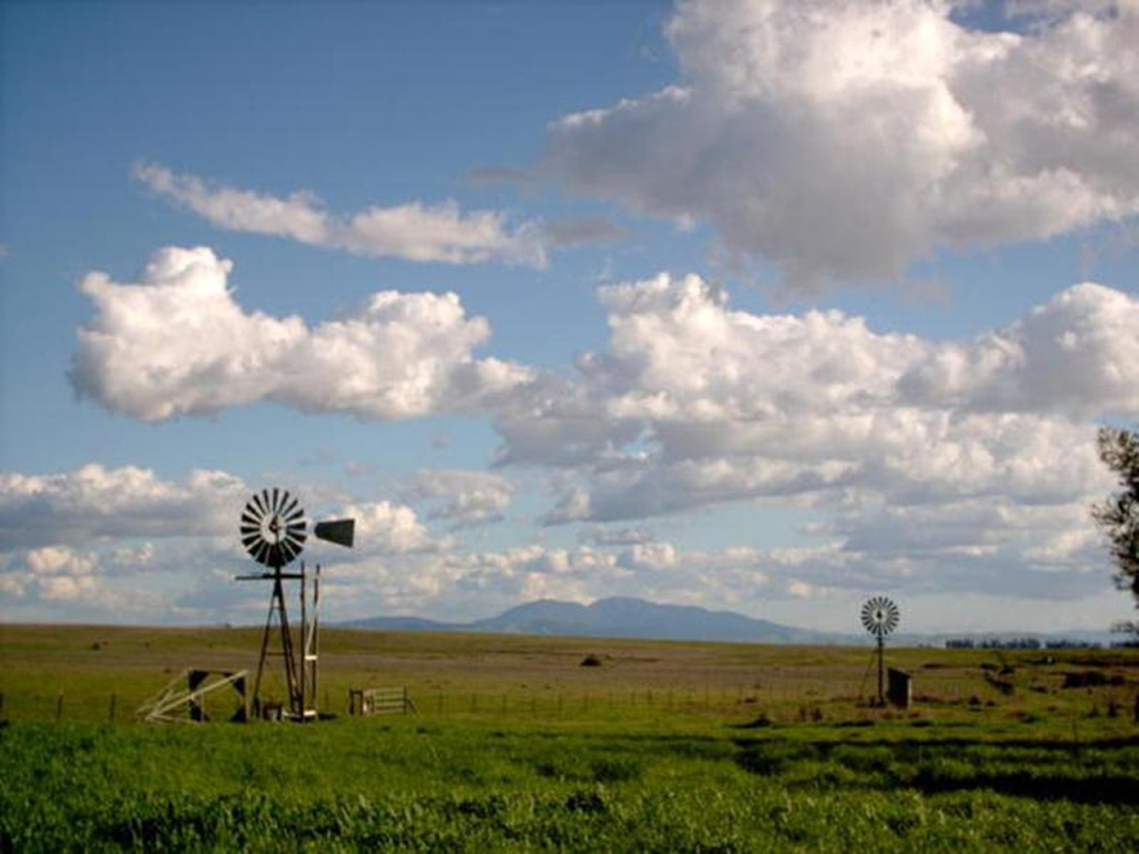 (c) 2006 Kenneth Bankston